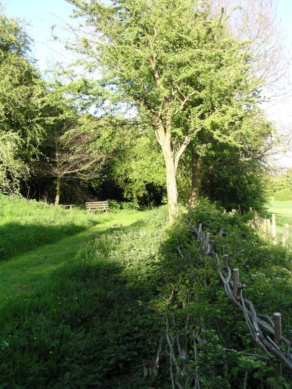 Brackley and District Wildlife Trust